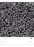 Animal Style Textures Vol. 1