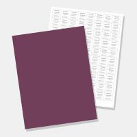 Pantone® FHI TPG Sheet