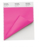 Pantone® FHI Fashion Home + Interiors Nylon Brights Smart Color Swatch Cards Double Folded TN Nylon