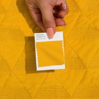 Pantone® FHI Cotton Swatch Library + 315 New Colors