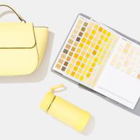 Pantone® FHI Paper Traveler
