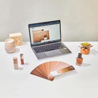 Pantone® Skin Tone Guide