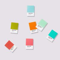 Pantone® Pantone Solid Chips Coated & Uncoated (2-book set)