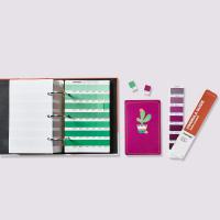 Pantone&reg; Solid Color Set - Formula Guide + Solid Chips
