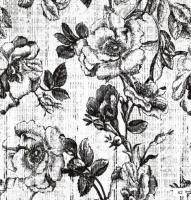 Print Box Arai Designs Black and White