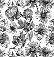 Print Box Arai Designs Black and White