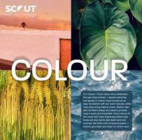 Scout Casual + Youth S/S 27