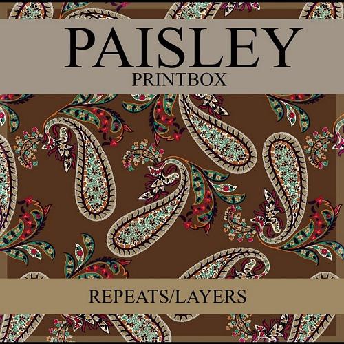 Print+Box+PAISLEY
