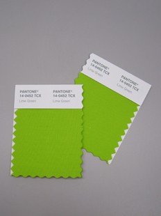 Pantone%26reg%3B+for+Fashion+%26amp%3B+Home+Smart+Color+Swatch+Cards+2+Minis+TCX+Cotton